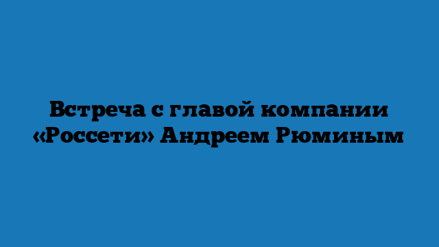 Встреча с главой компании «Россети» Андреем Рюминым